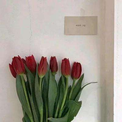 严防触电：医疗设备安全防护策略